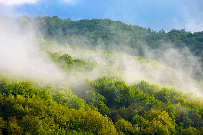 Atmosphärischer Verdunstungsbedarf verstärkt die Dürren