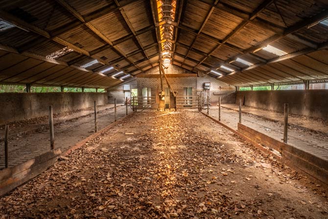 Auswirkungen auf die Landwirtschaft