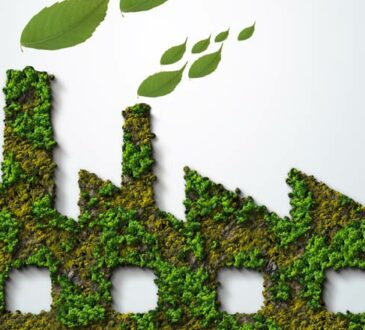 Green Economy - Das steckt dahinter