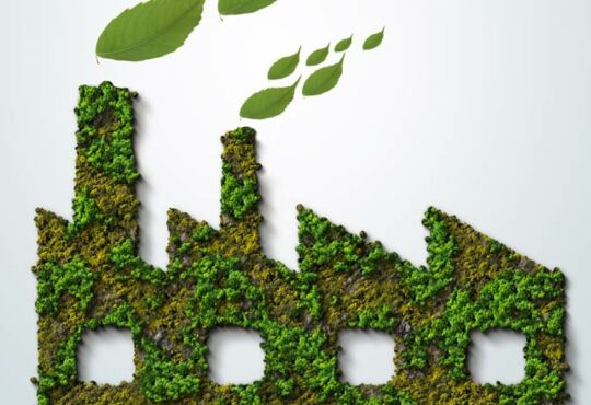 Green Economy - Das steckt dahinter