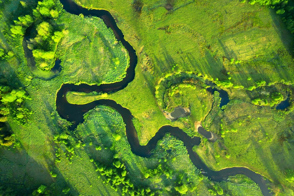 Landschaftsökologie gehört zu den Geowissenschaften