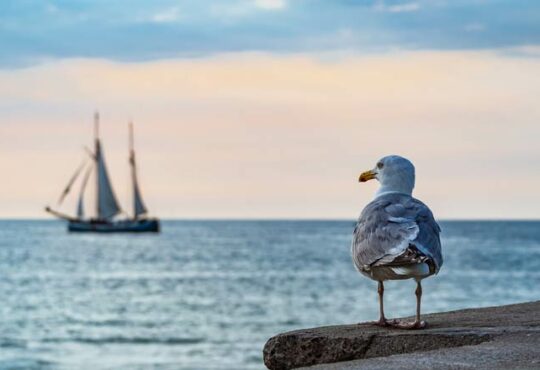 Nachhaltiger Urlaub an der Ostsee