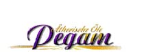Logo von Pegam Ätherische Öle