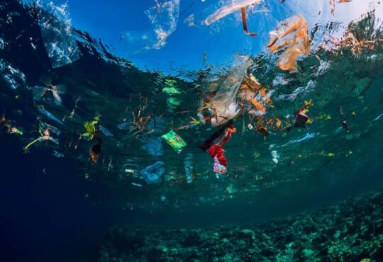 Plastikflut im Meer stoppen