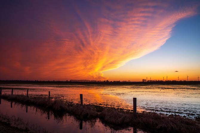 In Deutschland ist Saharastaub oft nur in geringer Konzentration in der Luft enthalten