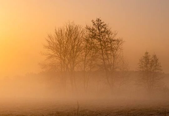 Saharastaub und seine nützlichen Seiten