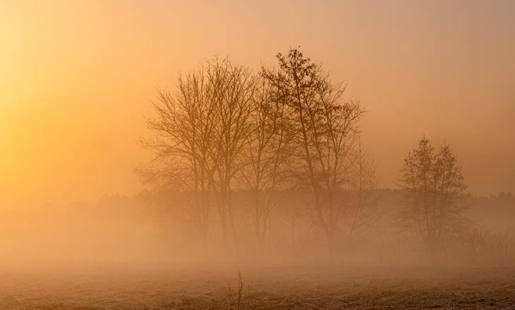 Saharastaub und seine nützlichen Seiten