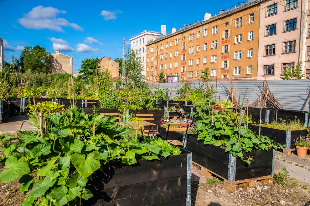 Urban Gardening ist bei Weitem kein neuer Trend